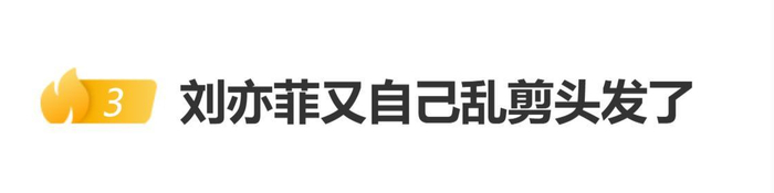 刘亦菲北电毕业20周年聚会照片公开，刘亦菲又自己乱剪头发了，图片 1