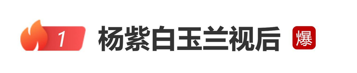 杨紫获白玉兰视后：这个奖杯一定不是我的终点，它是演员杨紫的起点，图片 1